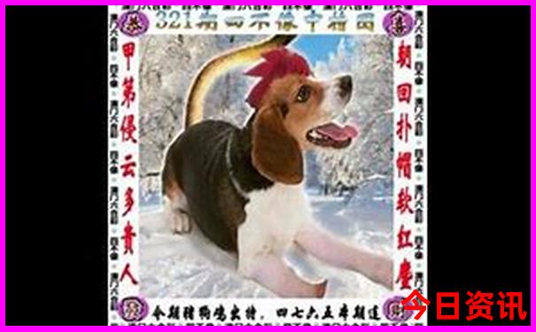 6月7月适合去哪里旅游